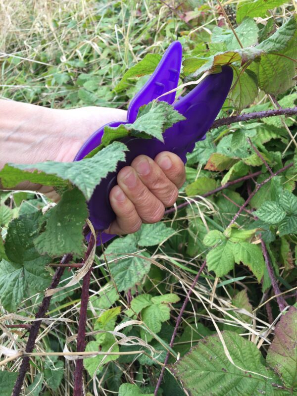 Lorna's hand is in the Papillon thorn protection glove which is curled around the branble stem she is holding.