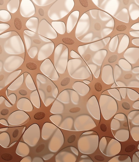 Scar tissue impacts the body over time Drawing of lots of cells connected to each other in all directs to represent the connective tissue in the body that Scar tissue impacts over time